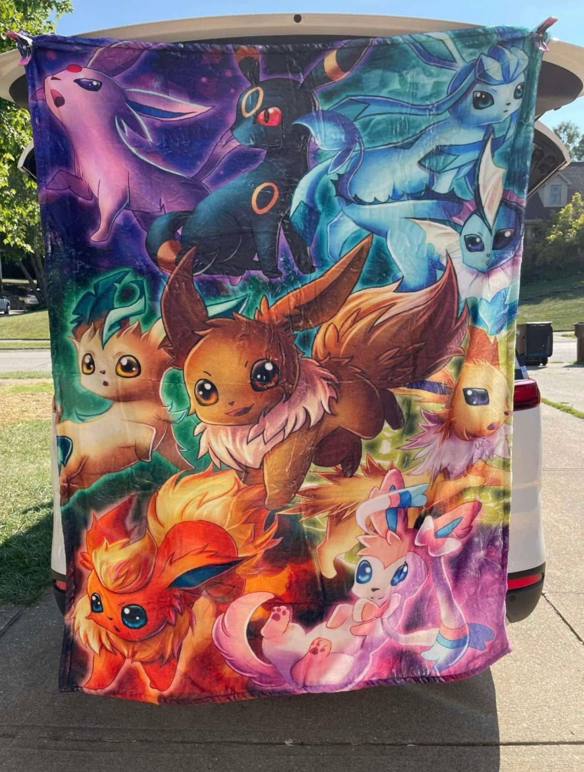Eeveelution blanket - MorkhaosTCG